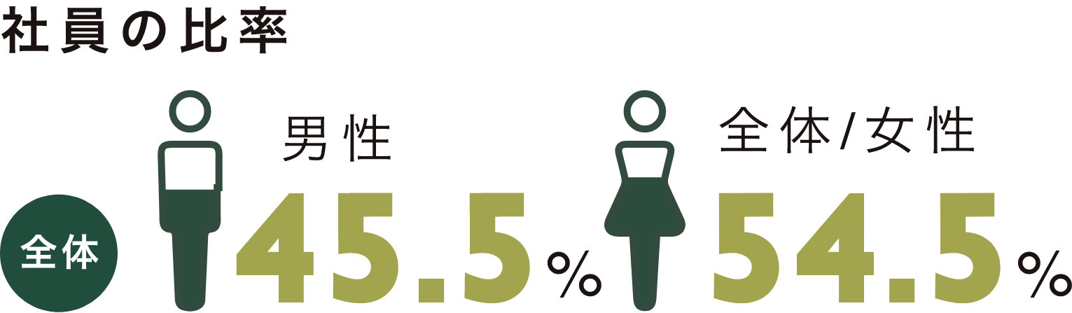 社員の比率 全体 男性 45.5% / 全体/女性 54.5%